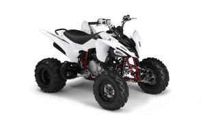 YFM250R ― Active-kuban, Goods for tourism, recreation and sport