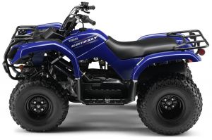 Grizzly 125 ― Active-kuban, Goods for tourism, recreation and sport